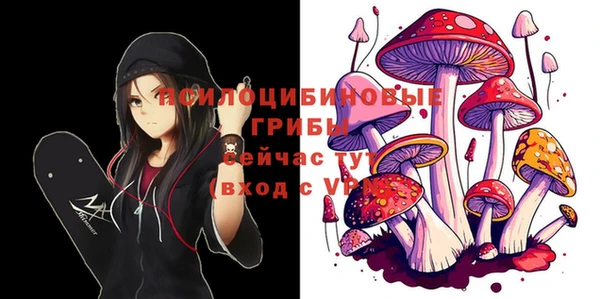 твердый Осинники