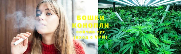 твердый Осинники
