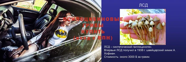 a pvp Осташков