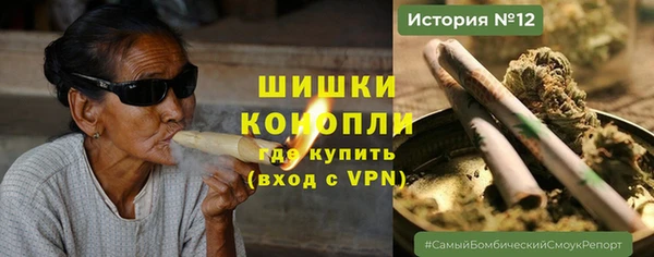 твердый Осинники
