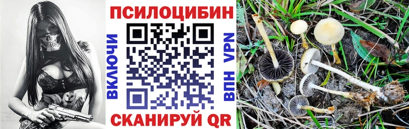 Галлюциногенные грибы Cubensis  Купить  Холмск 
